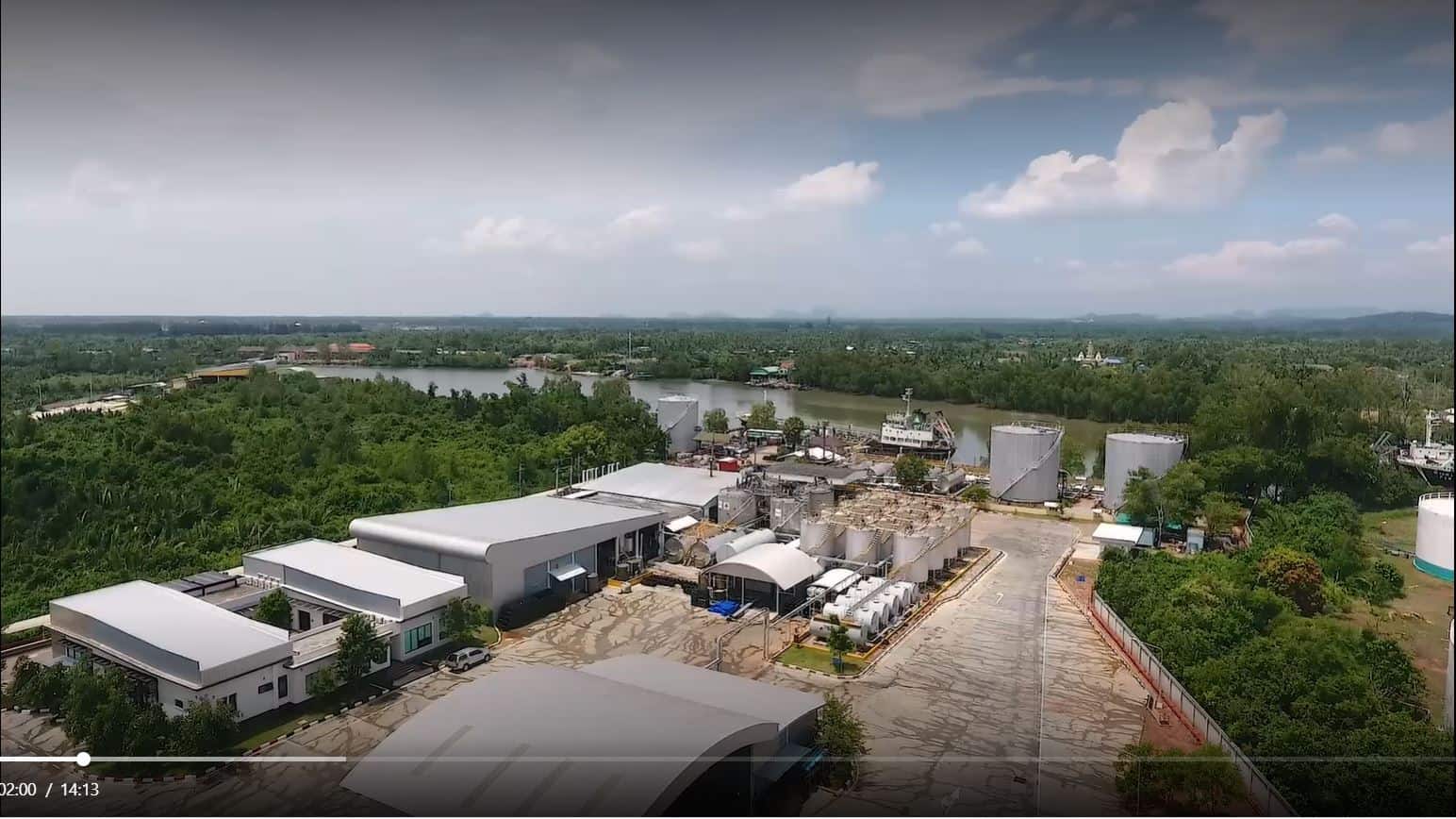 TBC Clip_Environment_ป่า