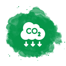 Icon-Co2